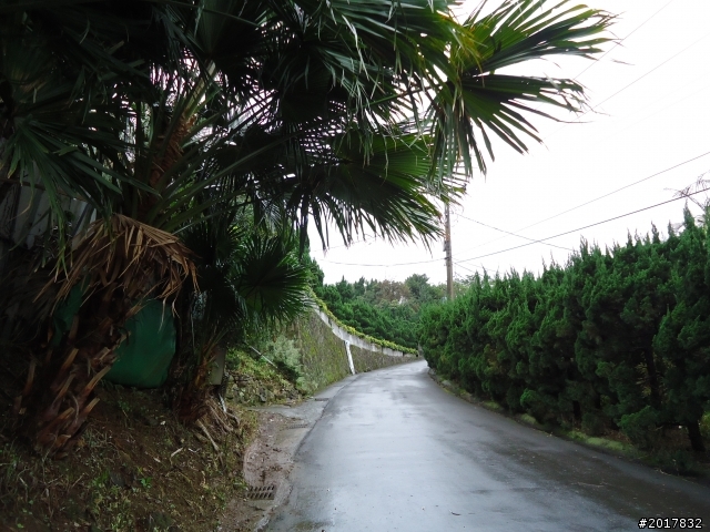 2012/01/23新春過年台北市天母古道行