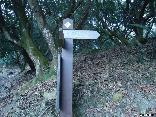 2012/01/19高雄大津尾寮山