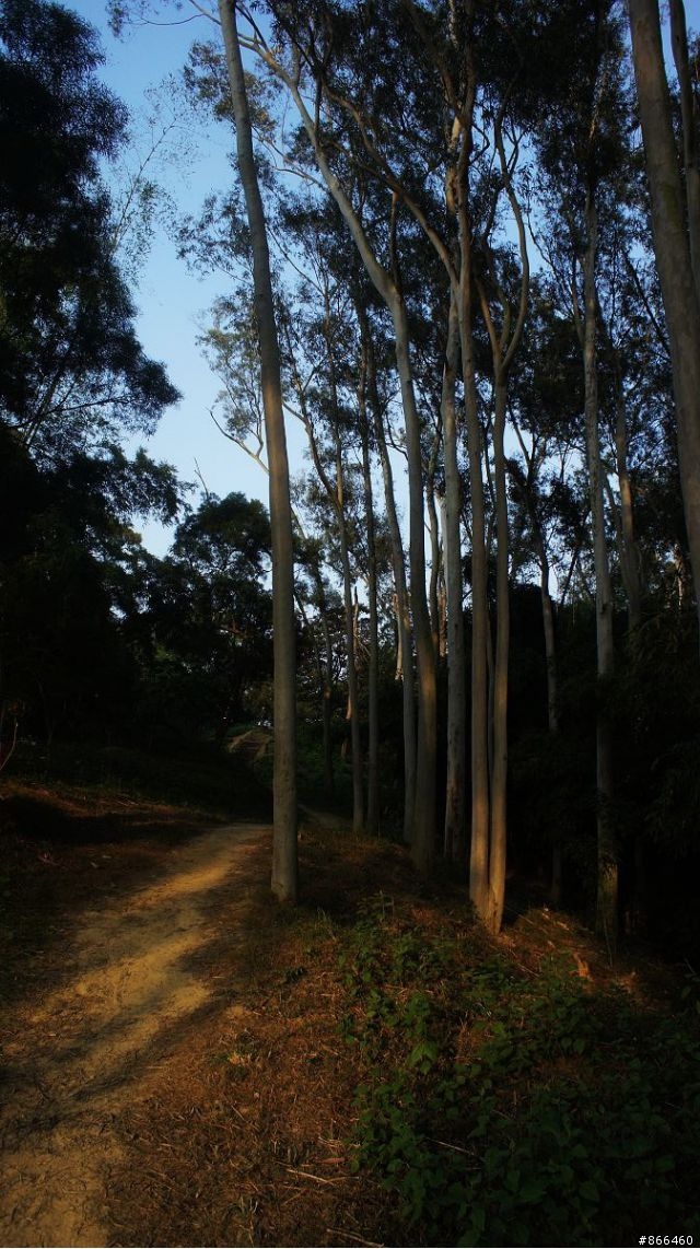 台南六甲鎮南宮後山步道(烏山頭水庫步道)運動去