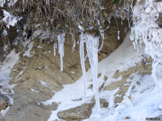分享1月28日合歡山的雪~~