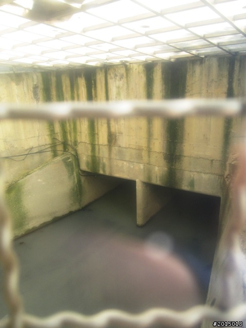 【城市漫遊Ⅴ】飲水思源曹公圳