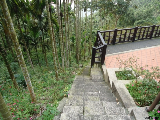 2012-01-29瑞太古道(純圖片)