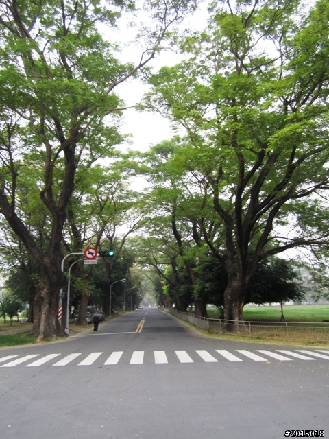 【城市漫遊Ⅶ】迷路原為看花開～萬年縣傳奇