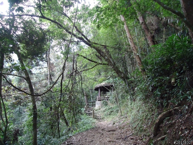 2012-01-29瑞太古道(純圖片)