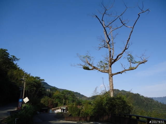 2012-01-29瑞太古道(純圖片)