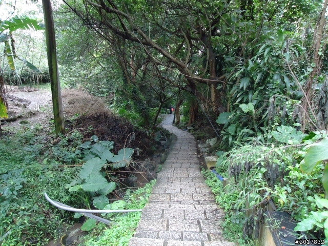 2012/01/23新春過年台北市天母古道行