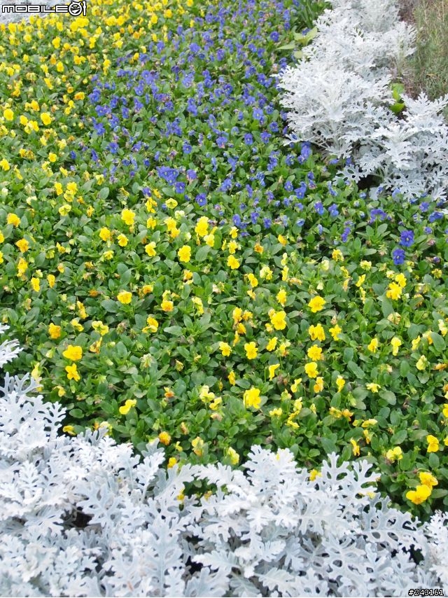 M.ZD 12-50mm for Travel, for Life,for work...