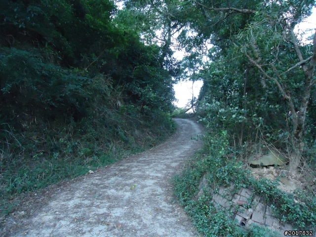 2012/01/19高雄大津尾寮山