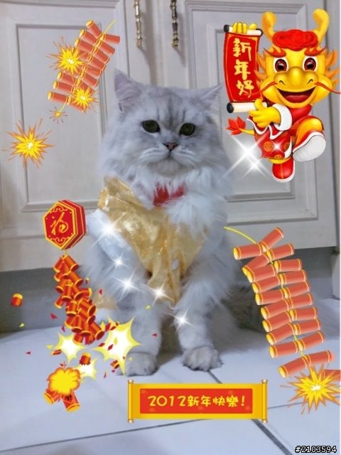 新年快樂之寵物來拜年！