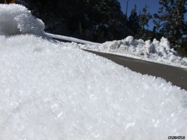分享1月28日合歡山的雪~~