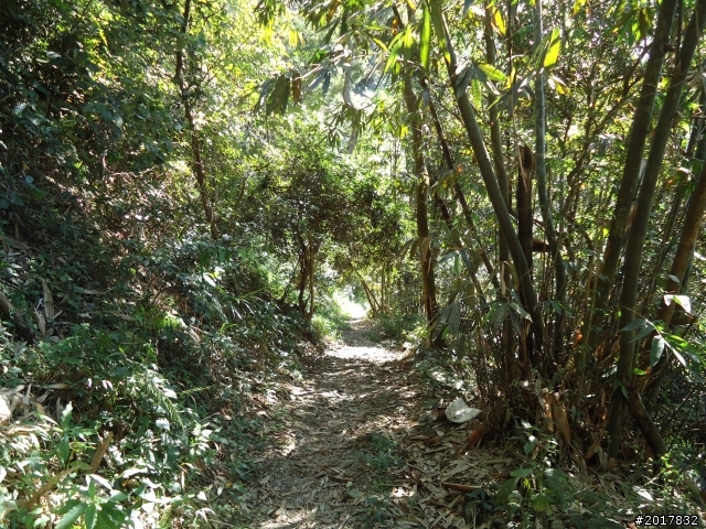 2012/01/19高雄大津尾寮山