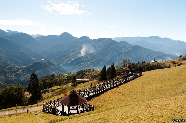 D90與我的跨年清境奧萬大之旅 [圖多]