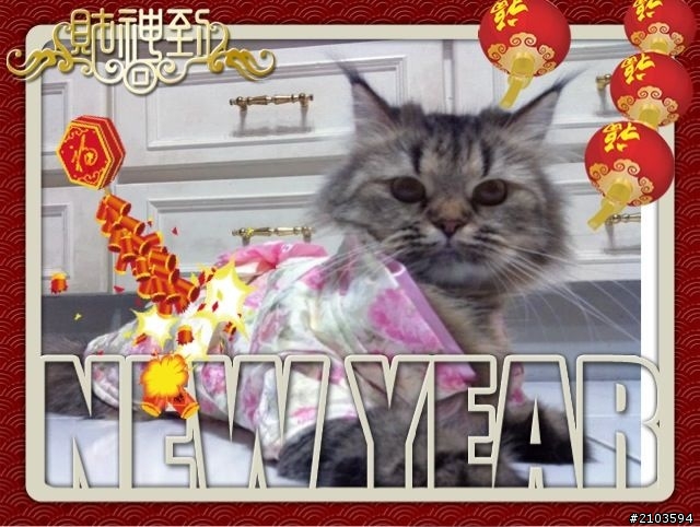新年快樂之寵物來拜年！
