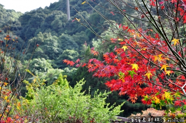 [景點] 杉林溪森林生態渡假園區 - 松瀧岩瀑布