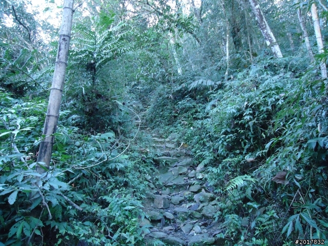 2012/01/19高雄大津尾寮山