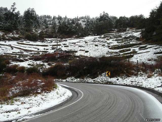 AWD 賞雪   1/31更新圖片