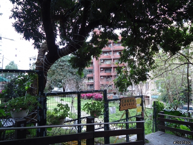 2012/01/23新春過年台北市天母古道行