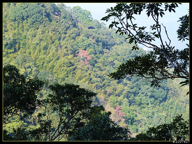 2012.01.10_台灣四大天王山之「四天皇山」登山休閒趣！