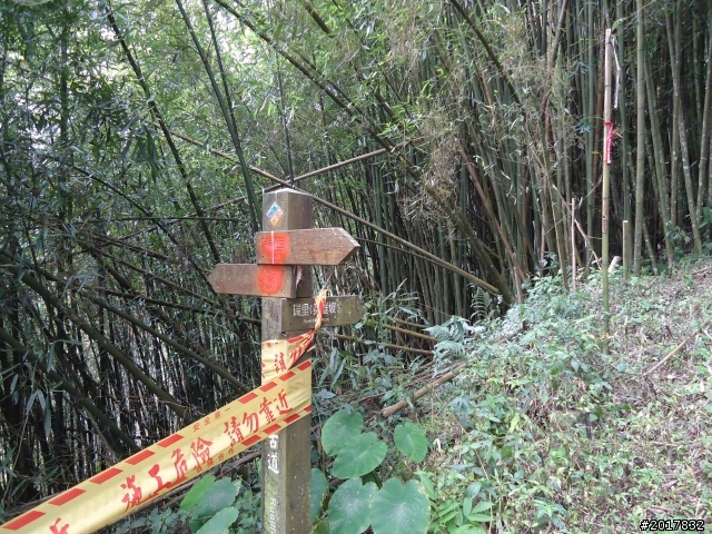 2012-01-29瑞太古道(純圖片)