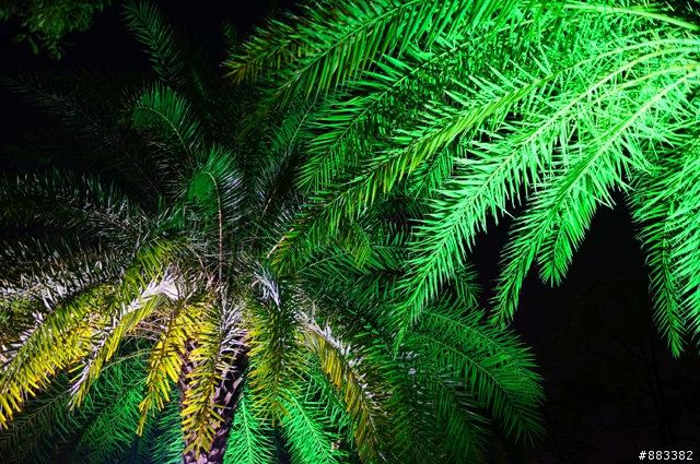 ZEISS 24F1.8 非常不專業夜景測試