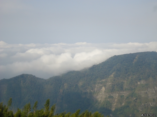 2012-01-29瑞太古道(純圖片)