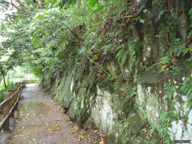 2012/01/23新春過年台北市天母古道行