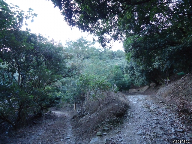 2012/01/19高雄大津尾寮山
