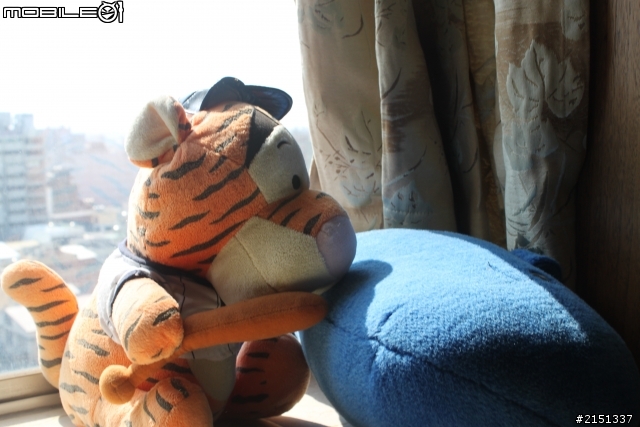 Canon 500D 開箱