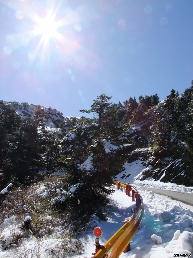 分享1月28日合歡山的雪~~