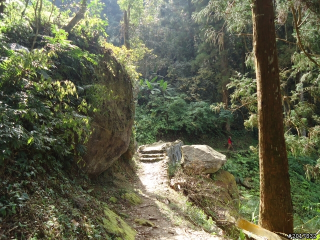 2012-01-29瑞太古道(純圖片)