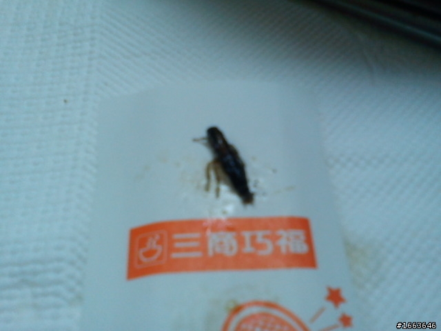 我到八德市三商巧福吃麵差一點吃到蟑蟑