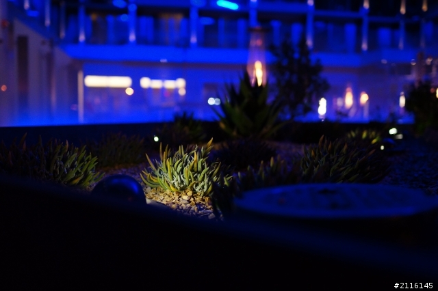 Sony SEL24mm F1.8 試拍