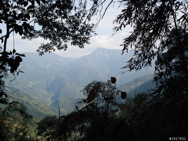 2012-01-29瑞太古道(純圖片)