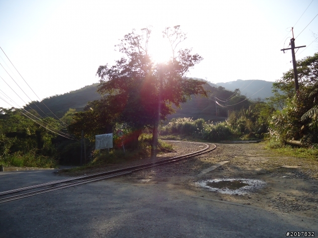 2012-01-29瑞太古道(純圖片)