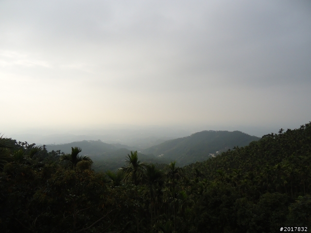 2012-01-29瑞太古道(純圖片)