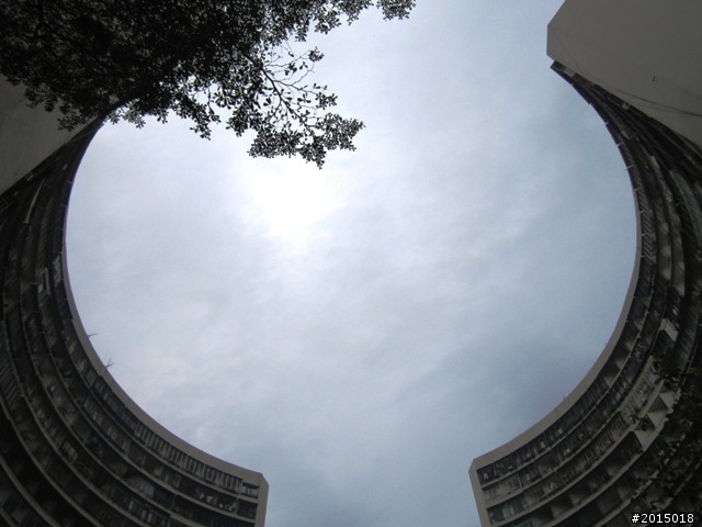 【城市漫遊Ⅶ】迷路原為看花開～萬年縣傳奇