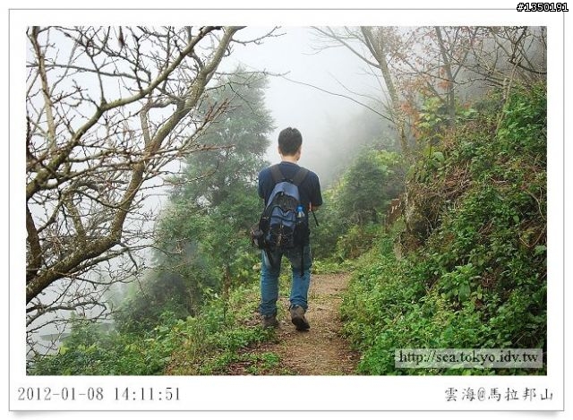 雲海‧楓紅‧馬拉邦山