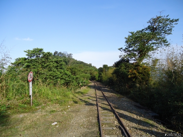 2012-01-29瑞太古道(純圖片)