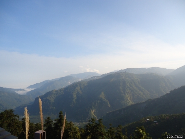 2012-01-29瑞太古道(純圖片)