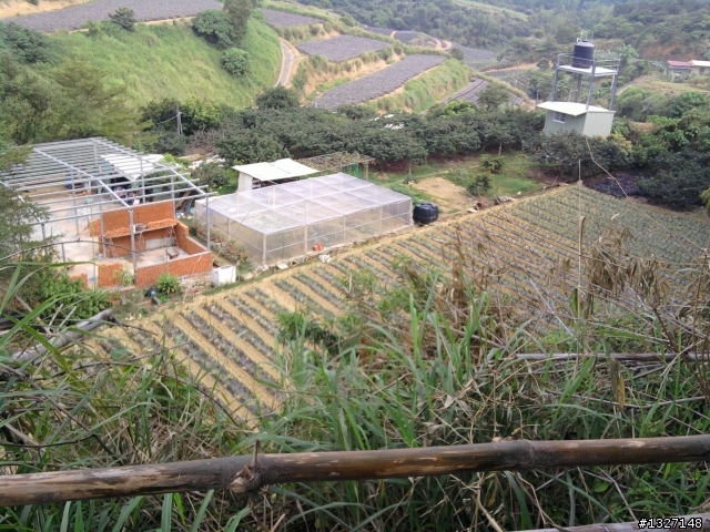 鳥松 坔埔山