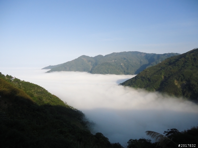 2012-01-29瑞太古道(純圖片)