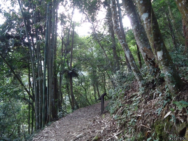 2012-01-29瑞太古道(純圖片)