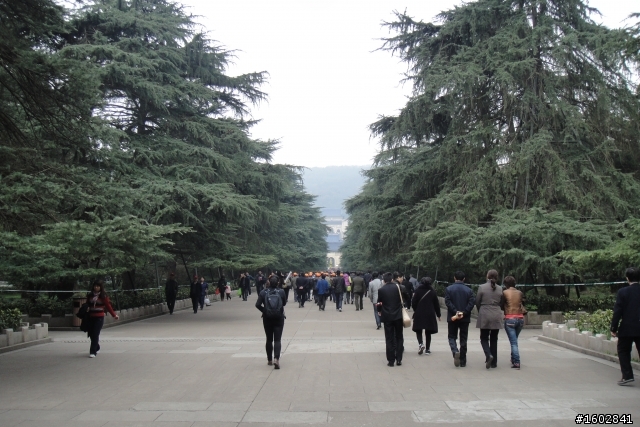 文哥之墓-南京中山陵