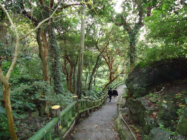 2012/01/23新春過年台北市天母古道行