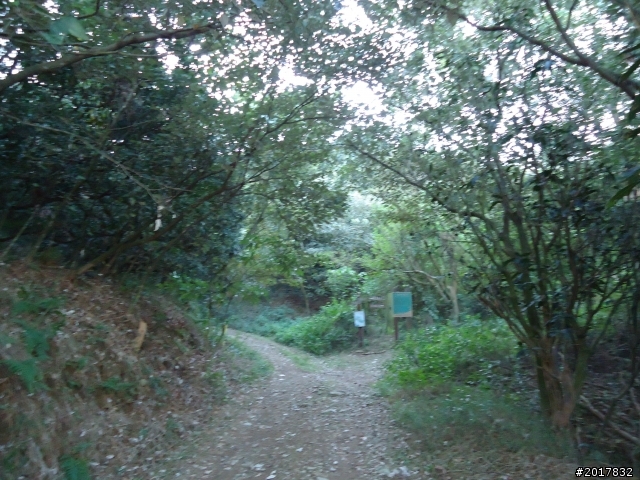 2012/01/19高雄大津尾寮山
