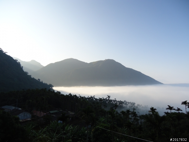 2012-01-29瑞太古道(純圖片)