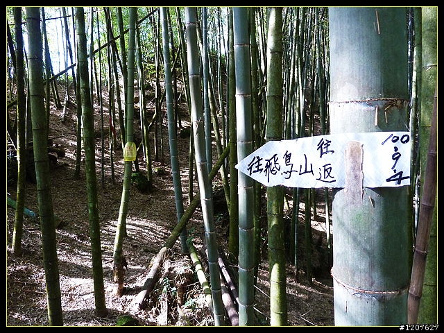 2012.01.10_台灣四大天王山之「四天皇山」登山休閒趣！
