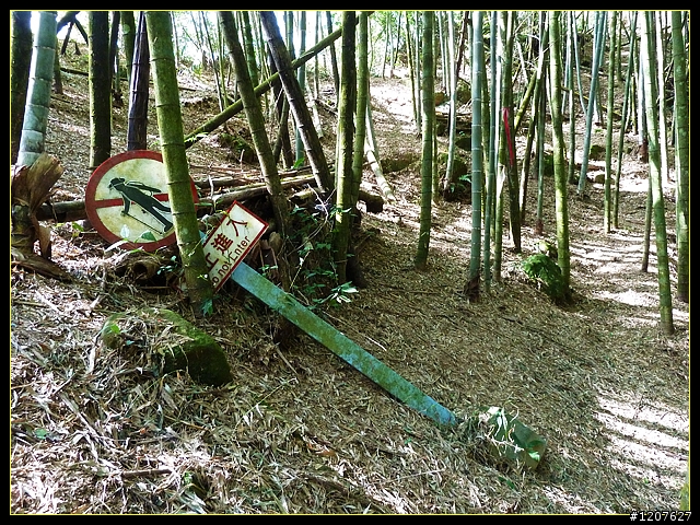 2012.01.10_台灣四大天王山之「四天皇山」登山休閒趣！