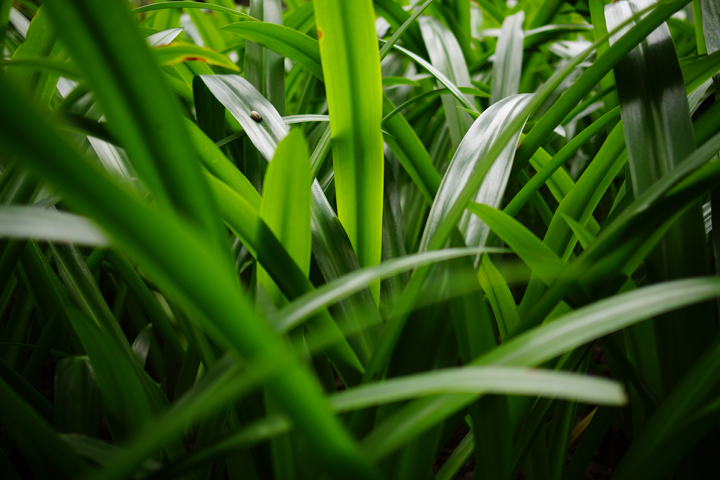搶先分享！SONY NEX-7 + ZEISS 24mm F/1.8