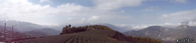 2012-01-29瑞太古道(純圖片)